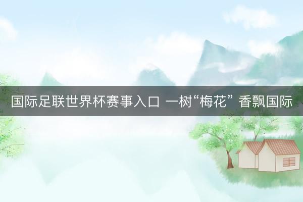 国际足联世界杯赛事入口 一树“梅花” 香飘国际