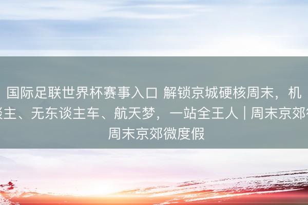 国际足联世界杯赛事入口 解锁京城硬核周末，机器东谈主、无东谈主车、航天梦，一站全王人 | 周末京郊微度假