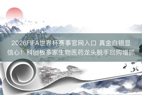 2026FIFA世界杯赛事官网入口 真金白银显信心！科创板多