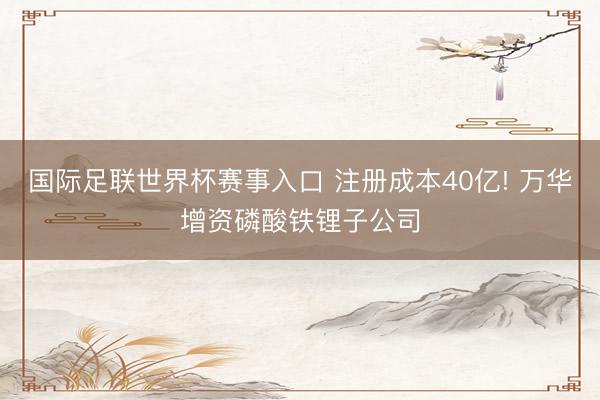 国际足联世界杯赛事入口 注册成本40亿! 万华增资磷酸铁锂子公司