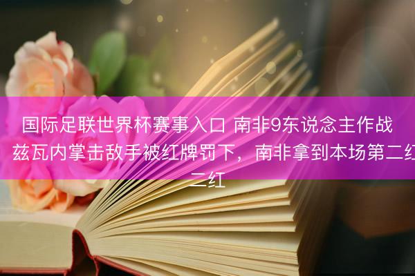 国际足联世界杯赛事入口 南非9东说念主作战！兹瓦内掌击敌手被红牌罚下，南非拿到本场第二红