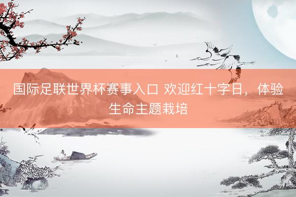 国际足联世界杯赛事入口 欢迎红十字日,体验生命主题栽培
