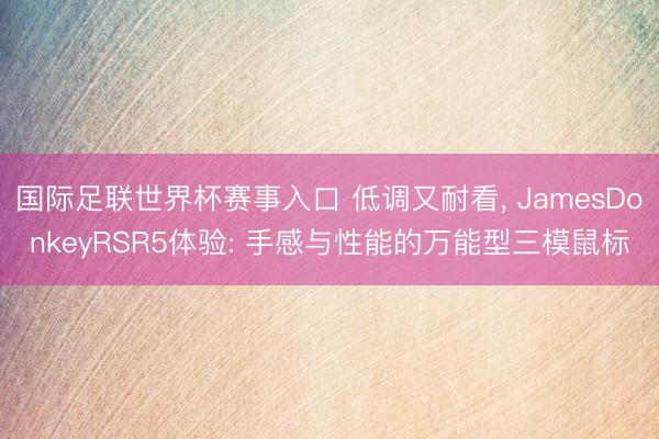 国际足联世界杯赛事入口 低调又耐看， JamesDonkeyRSR5体验: 手感与性能的万能型三模鼠标