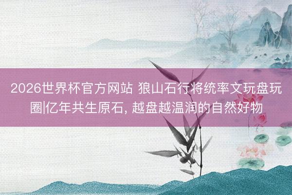 2026世界杯官方网站 狼山石行将统率文玩盘玩圈|亿年共生原石， 越盘越温润的自然好物