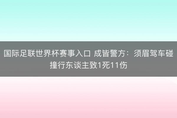 国际足联世界杯赛事入口 成皆警方：须眉驾车碰撞行东谈主致1死11伤